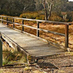 Polblue Swamp Track Upgrade Before