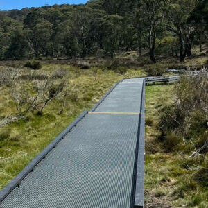 Polblue Swamp Track Upgrade